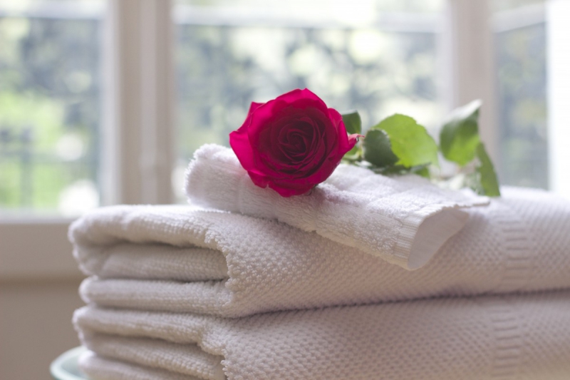 chambre-hote-LA CROIX SUR ROUDOULE-min_towel_rose_clean_care_salon_spa_white_bath-731641